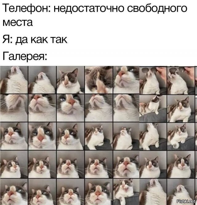 Телефон Ксюхи)))