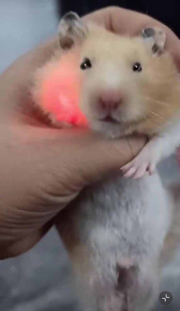 Полицию вызывали