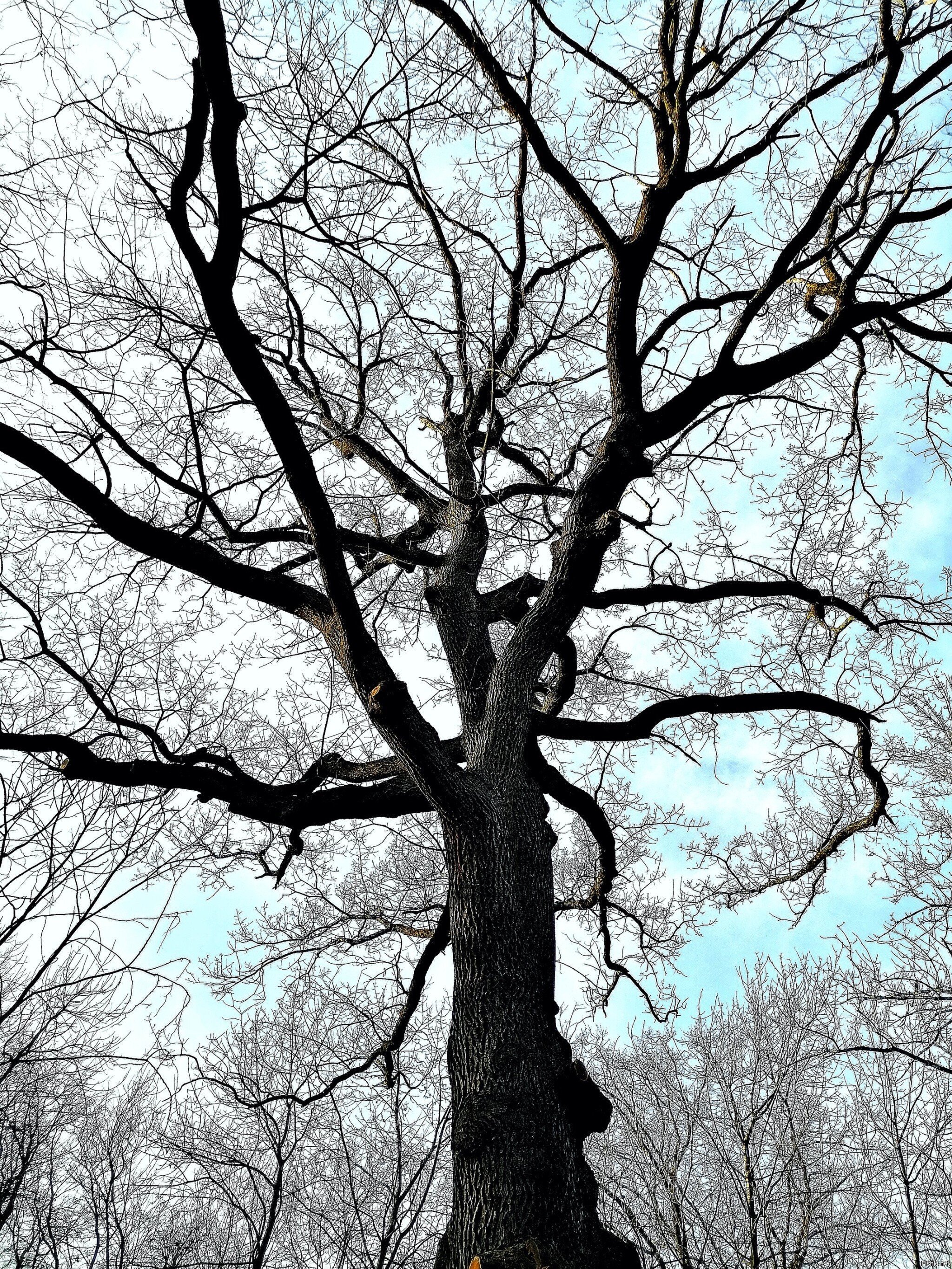 Сегодня в Краснодаре