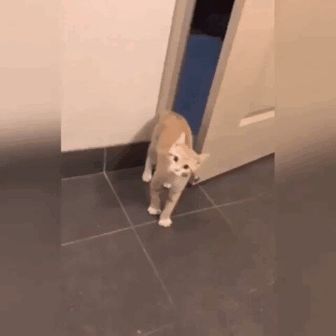 - Нунах, потом зайду