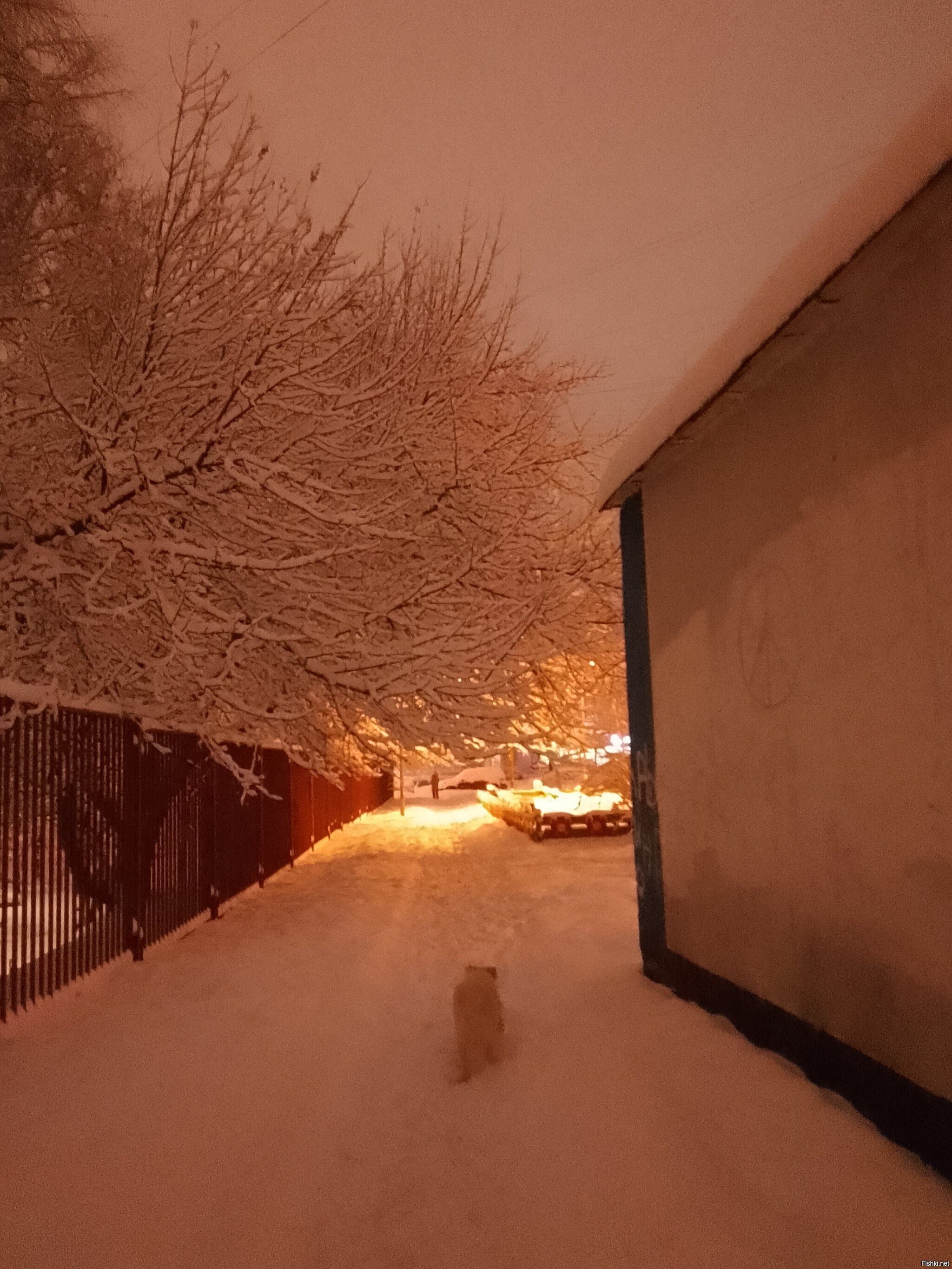 Москва, Чертаново