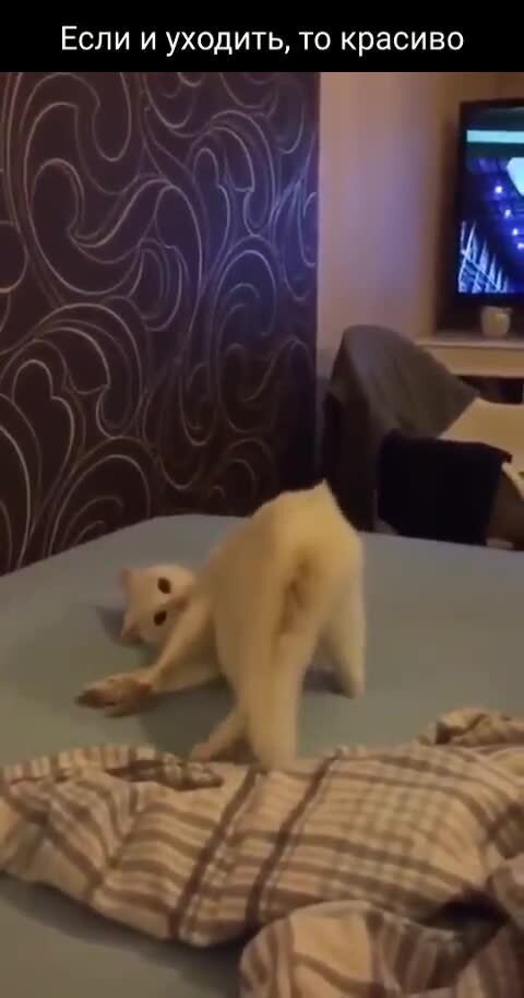 Я ухожу , ухожу крас-сиво