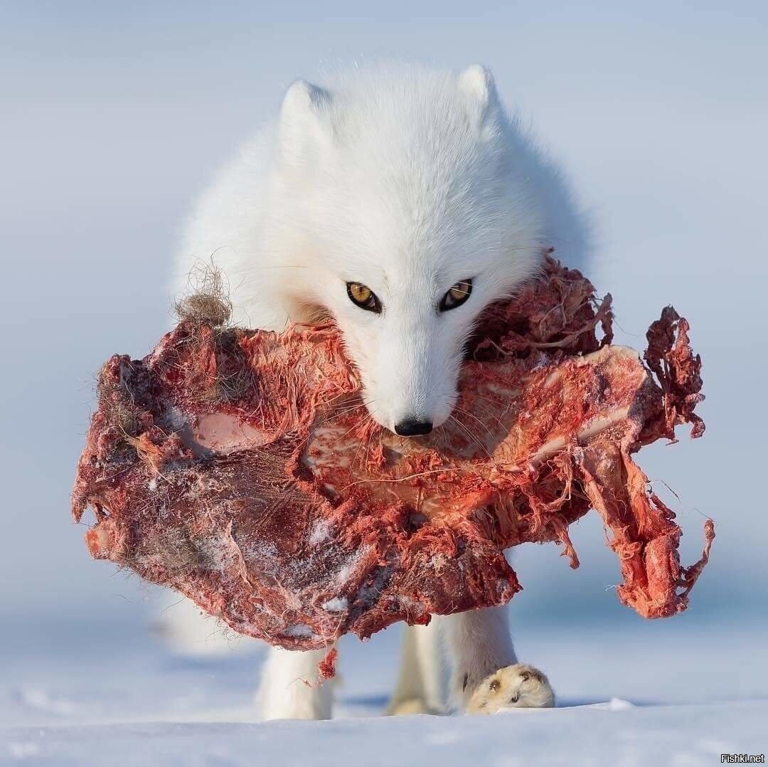 - К тебе я потом прийду