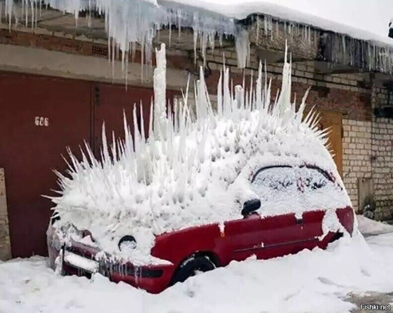 Выеживается