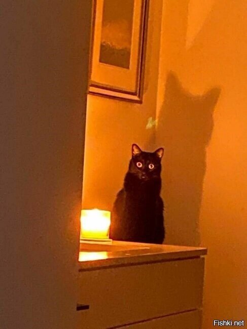 вот и вечер