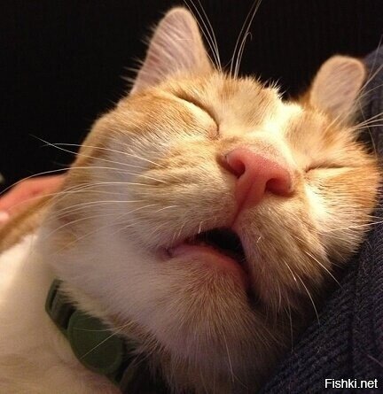 На улице метель, а я поперся на арботу