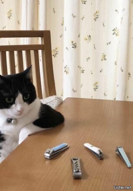 иллюзия выбора