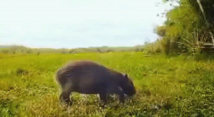 Санитара вызывали