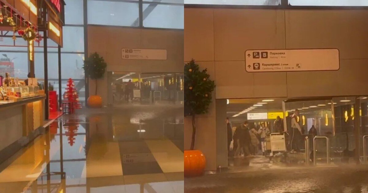 Голодный сотрудник "Шереметьево" случайно устроил потоп в аэропорту