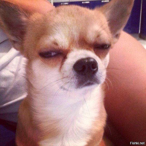 Сейчас пробежался по новостным лентам