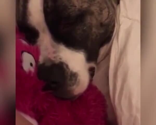 Кому сон, а кому мучения