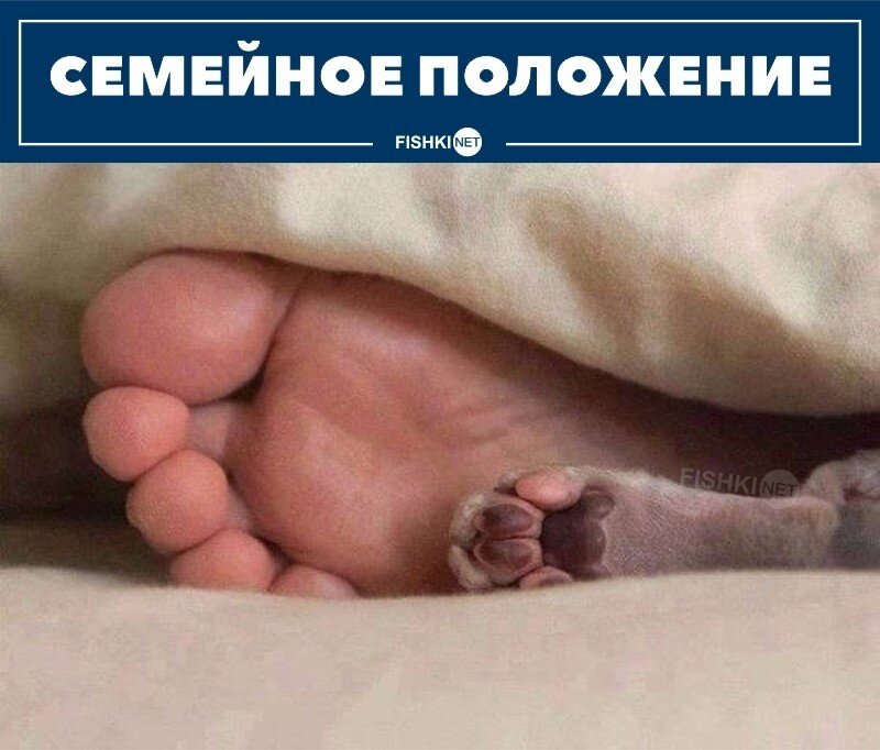 Идеально!