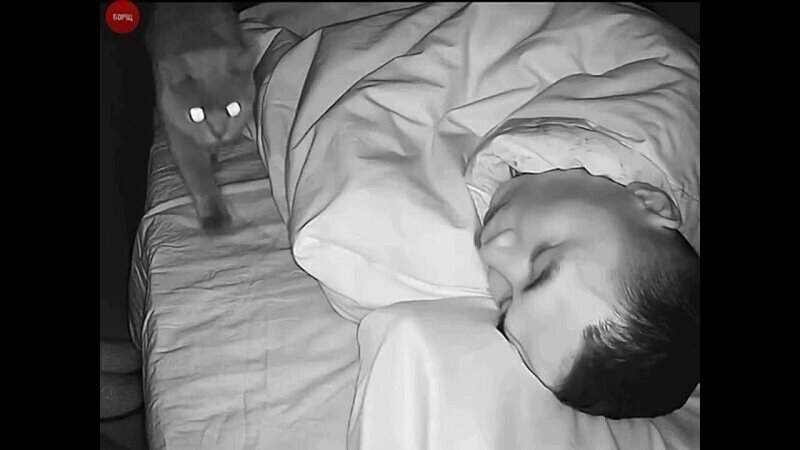 И так каждую ночь