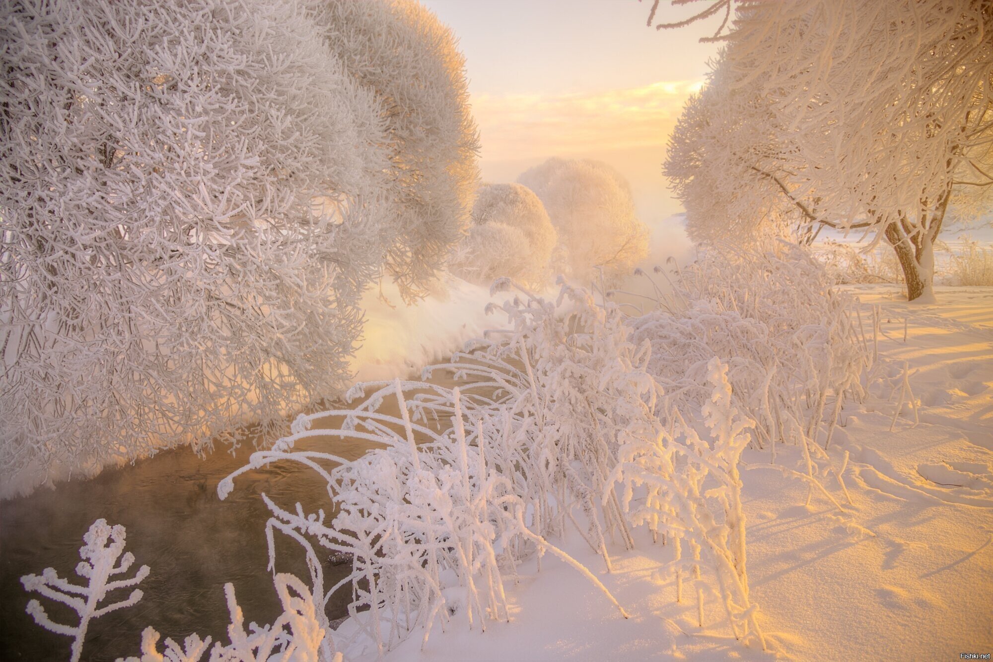 Муринский ручей, СПБ