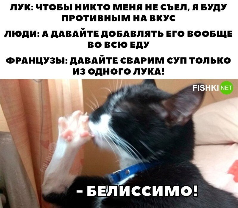 Скрины из соцсетей