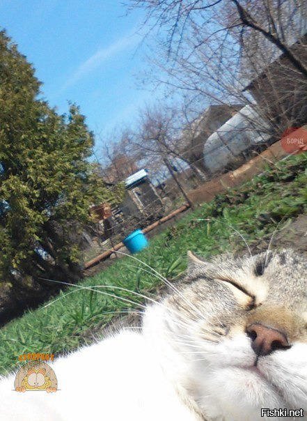 Завалил все и спит, сволочь