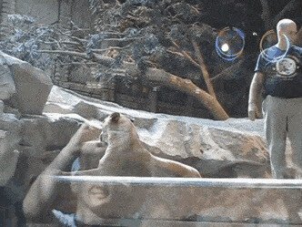 так себе работёнка