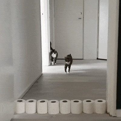 - Хозяин, может на работу устроишься