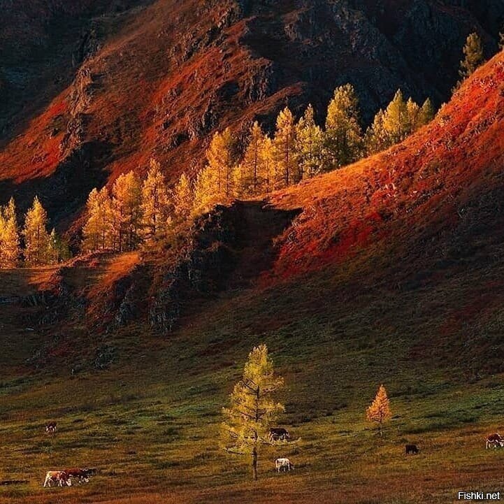 Горный Алтай