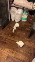 - Без адвоката ничего не скажу