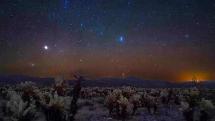Звёздное скопление Плеяды и множество метеоров в небе над пустыней Чолла в на...