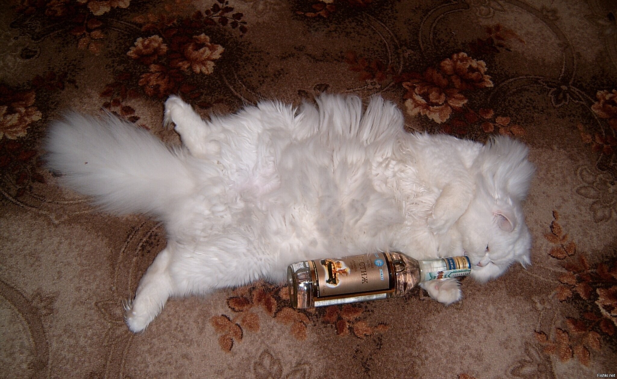 Нашёл одно из первых цифровых