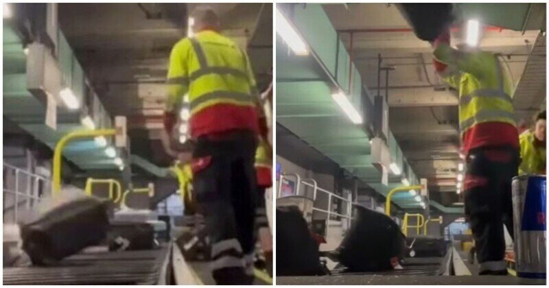 «И так сойдет!»: небрежное обращение сотрудников аэропорта с багажом попало на видео
