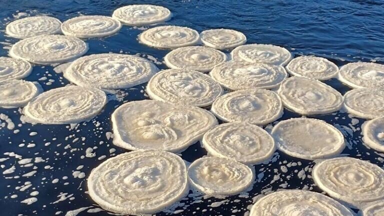 Потрясающие «ледяные блины» кружатся на поверхности шотландской реки