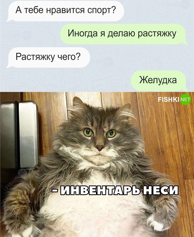 О любви к спорту