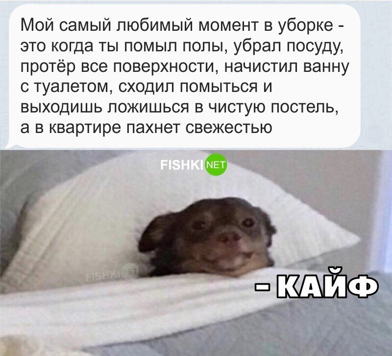 Просто кайф