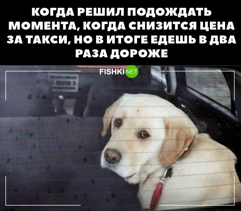 Классика 