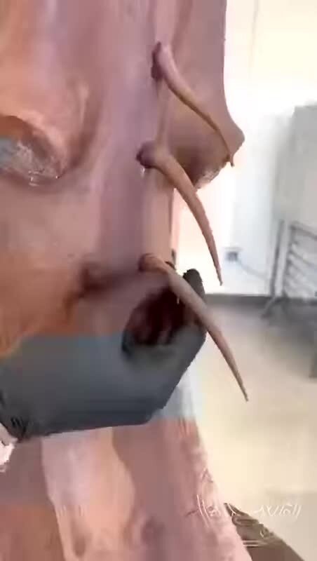 А так всё начиналось