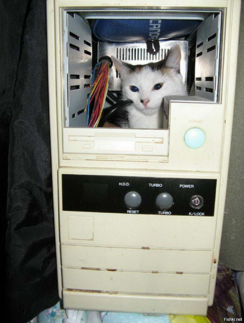 Солянка