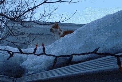 -за НГ