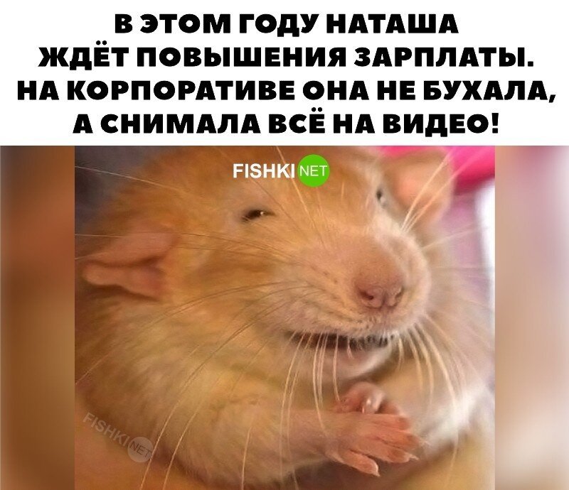 Скрины из соцсетей