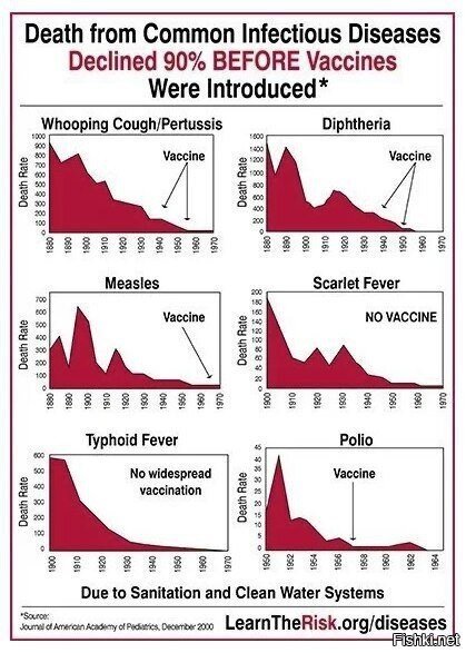 Влияние вакцин на снижение смертности от распространённых болезней