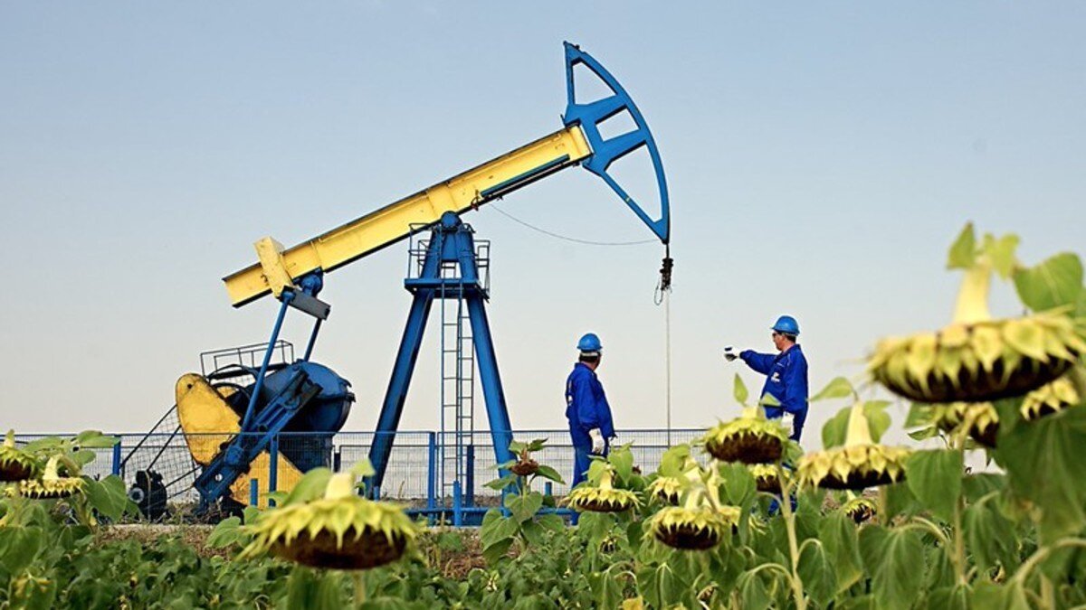 На Украине разгорается дележ нефти и газа накануне запуска «зеленой энергетики»