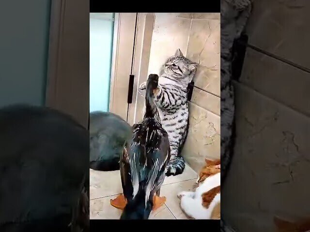 - Ты кто, мать твою