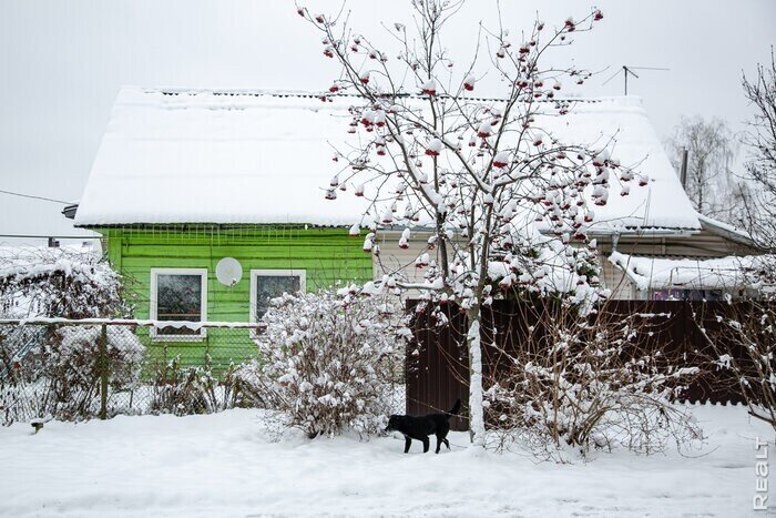 «Гори он синим пламенем, жду не дождусь, когда его снесут». Минчанин всю жизнь живет в частном доме