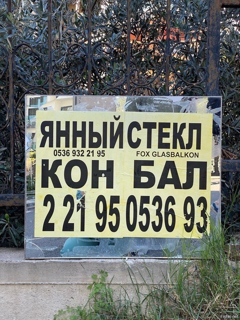 Солянка
