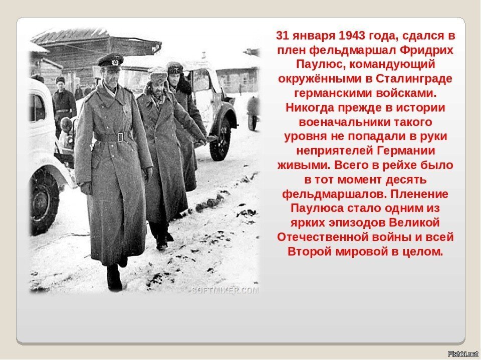 80 лет назад закончилась Сталинградская битва
