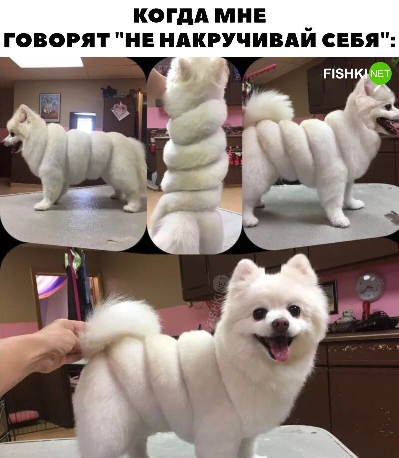 Скрины из соцсетей