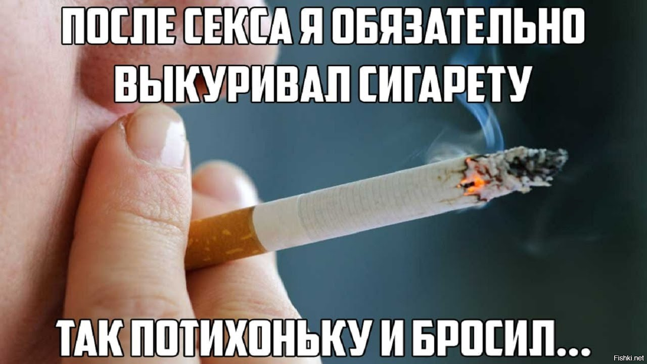 это не Аленн Карр случайно