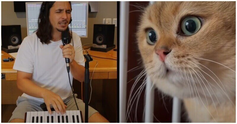 Музыкант The Kiffness выпустил новый забавный трек с разговорчивым котом