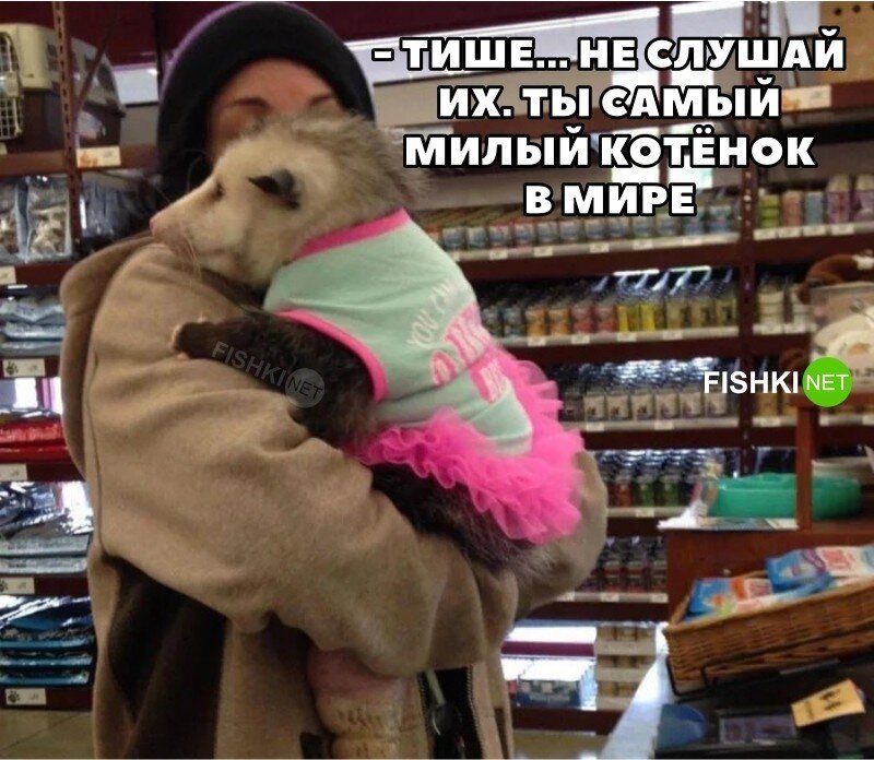 Скрины из соцсетей&nbsp;