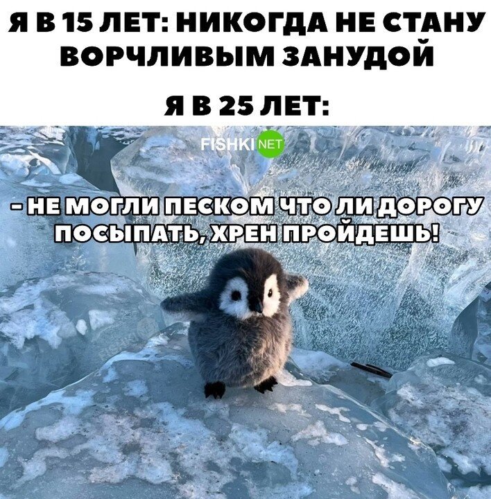 Ворчливый зануда