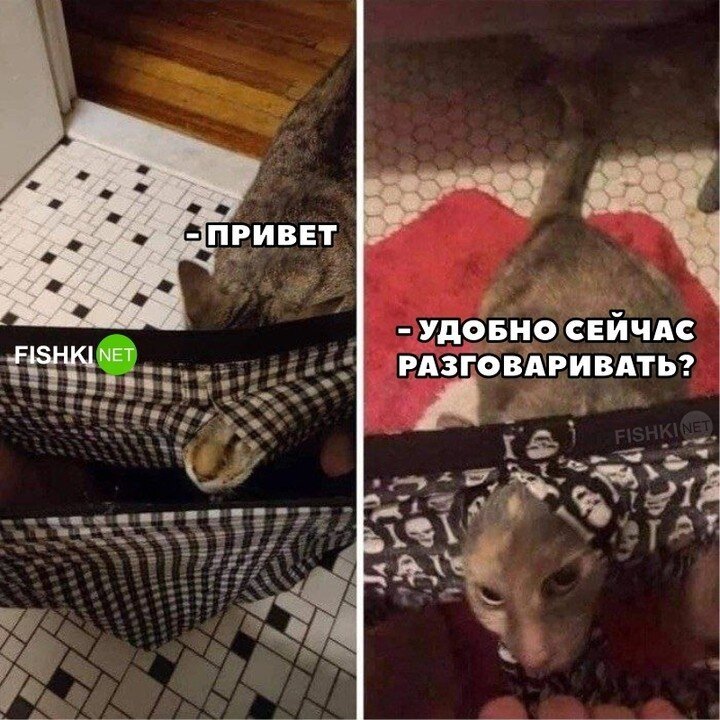 Нашёл время!