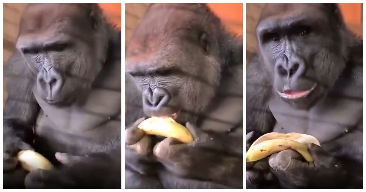 Как правильно есть бананы