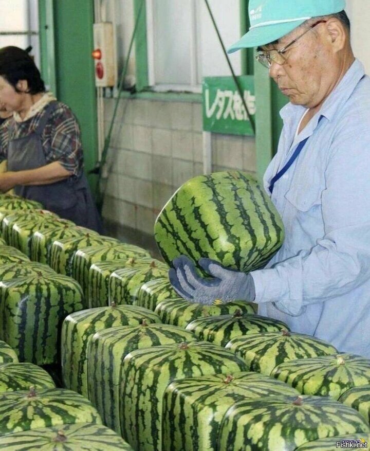 ишь чё удумали