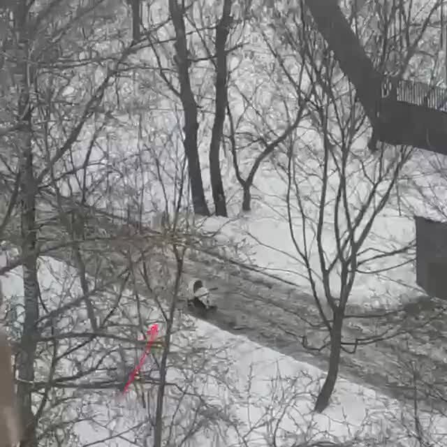 Стоп, что